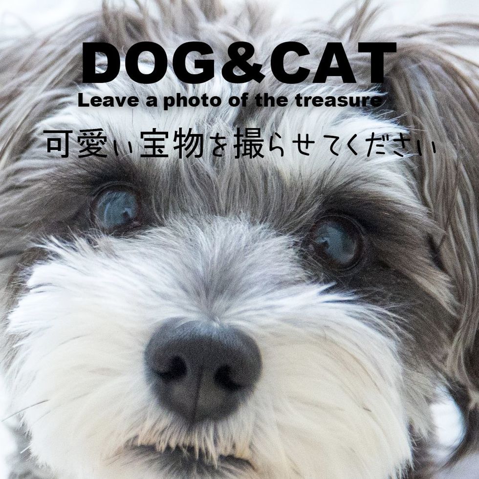 花魁